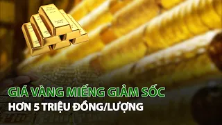 Giá vàng miếng giảm sốc hơn 5 triệu đồng/lượng| VTC14