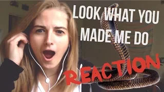Taylor Swift - Look What You Made Me Do - Music Video Reaction