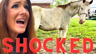 I Can't Believe She Did This! | Fixing Pens And Bad Animal Behavior