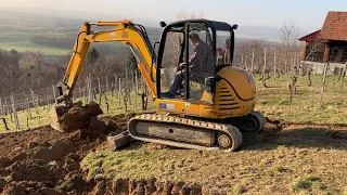 Vineyard ground preparation - JCB 8060