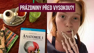 CO DĚLAT O PRÁZDNINÁCH PŘED MEDICÍNOU