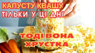 ЩО ПОТРІБНО ЗРОБИТИ, ЩОБ КВАШЕНА КАПУСТА БУЛА СМАЧНОЮ/простий рецепт з часів XVIII століття.