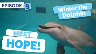 Meet Hope - Winter the Dolphin: Saving Winter - Episode 9