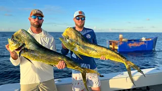 Best MAHI ever?? Caught under Cuban RAFT! Catch Clean Cook on Cedar Plank