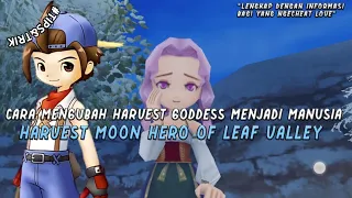 Cara Mengubah Harvest Goddess Menjadi Manusia || Harvest Moon Hero Of Leaf Valley