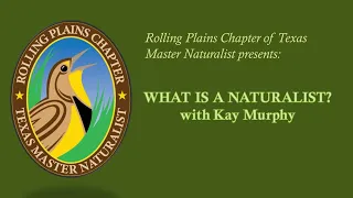 What is a Naturalist?  with Kay Murphy