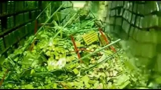 Warehouse Racking Collapses (Compilation)