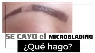 el microblading de cejas se me borro. por que?