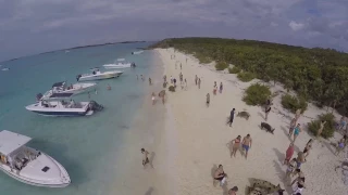 Swimming Pigs of the Bahamas (Exuma)