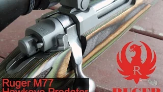 Ruger M77 Hawkeye Predator Review