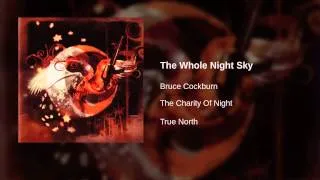Bruce Cockburn - The Whole Night Sky