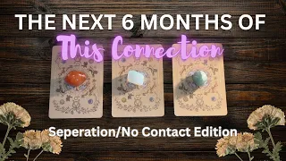 What's Going on in the Next 6 Months? 💞🥺💔 No Contact/Separation | Timeless Tarot Reading