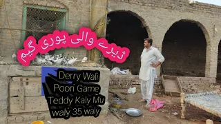 Deery Wali Poori Game Parchase ki Tedddy 35 waly Kaly Mu wly