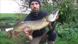 Pike Fishing on the River Dearne, Oct 2017