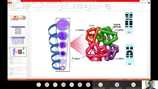 Anemias Hemolíticas - Aula 2