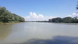 Река Кубань в Краснодаре/Огромные и злые комары