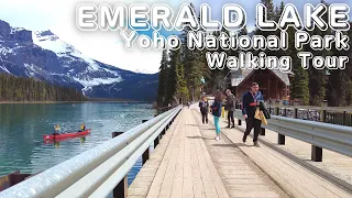 Emerald Lake Walking Tour | Largest Lake in Yoho National Park, BC