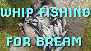 Whip To Hand - River Bream Fishing