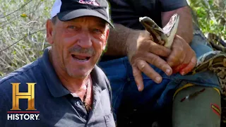 The Hunt for the Deadly Lady Python | Swamp People: Serpent Invasion (S4)