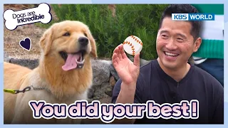He was born with motivation, drive and focus.🐶[Dogs are incredible : EP.177-5] | KBS WORLD TV 230704