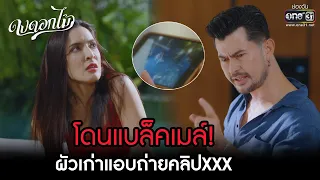 โดนแบล็คเมล์! ผัวเก่าแอบถ่ายคลิปXXX | HIGHLIGHT ดงดอกไม้ EP.07 | 20 ธ.ค. 65 | one31