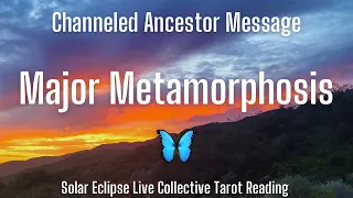 Major Metamorphosis🦋Solar Eclipse Channeled Ancestor Message + Tarot Reading LIVE