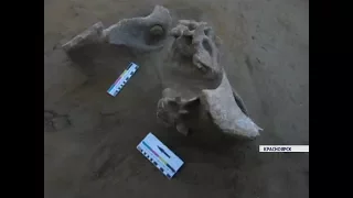 Археологи обнаружили в Красноярске уникальную стоянку древних охотников