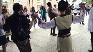 Дръж се земьо , българи в Северна Ирландия танцуват