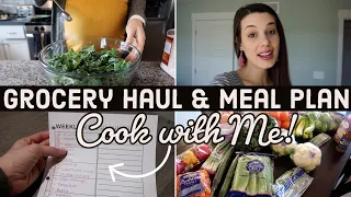 GROCERY HAUL & MEAL PLAN! (+ COOK WITH ME)