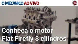 O MECÂNICO AO VIVO: Conheça o motor Fiat Firefly 3 cilindros