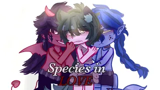 Species in love|•|gay|•|BL|•|poly GCMM|•|PART2|•| #justhudson
