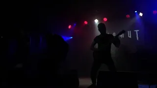 VISMUT - Впечатление live