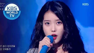 IU(아이유) - Blueming (Sketchbook) | KBS WORLD TV 200918