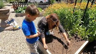 Raised Beds: Tour, Harvest, Clear Out & Planting New Crops! 😁🌿🧄 // Garden Answer