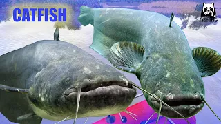 Russian Fishing 4 RF4 Akhtuba River| Active Spot CATFISHT