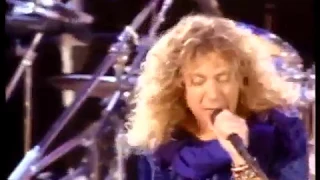 Freddie Mercury Tribute Concert Queen + Robert Plant Innuendo Crazy Little Thing Called Love