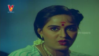 Naga Pournami Telugu Full Movie Arjun, Radha V9videos