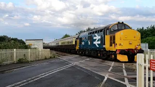 Class 37403 & 47773 Passing Queen Adelaide LC with THRASH & MEGA TONES!!. 19/07/23.