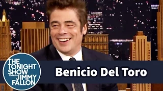 Benicio Del Toro Left Las Vegas with Two Tortoises