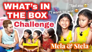 What’s In The Box Challenge with @likemelaandstela9694 | Melason Family Vlog