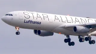 Frankfurt Airport Plane Spotting #1 amazing early morning traffic ft. many heavy aircraft | 4K