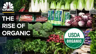 Is Organic Food Really Worth It?