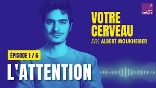 Votre cerveau filtre l'info : la force de l'attention, avec Albert Moukheiber (1/6) | saison 1