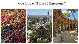 Vlog Barcelone en famille :Que faire et visiter en 3 jours ? Aquarium, quartier gothique, parc guell