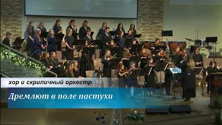 Дремлют в поле пастухи - хор и скрипичный оркестр