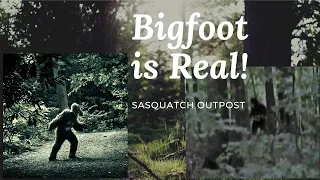 We saw Bigfoot in Bailey Colorado!!