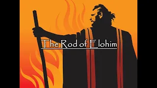 The Rod of Elohim