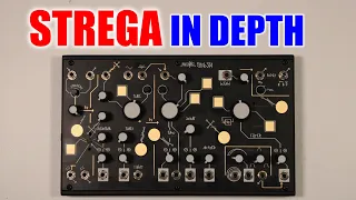 The Make Noise Strega in Depth.