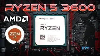 Ryzen 5 3600 Specification, Performance, Benchmark FPS Test