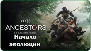 Начало эволюции ► Ancestors: The Humankind Odyssey #1